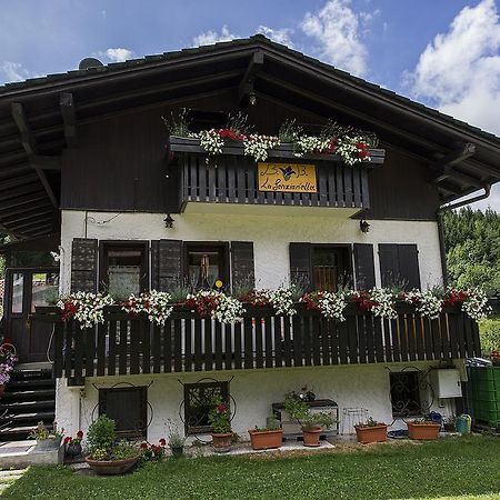 B&B La Genzianella Perarolo di Cadore Εξωτερικό φωτογραφία