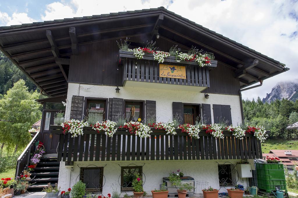 B&B La Genzianella Perarolo di Cadore Εξωτερικό φωτογραφία
